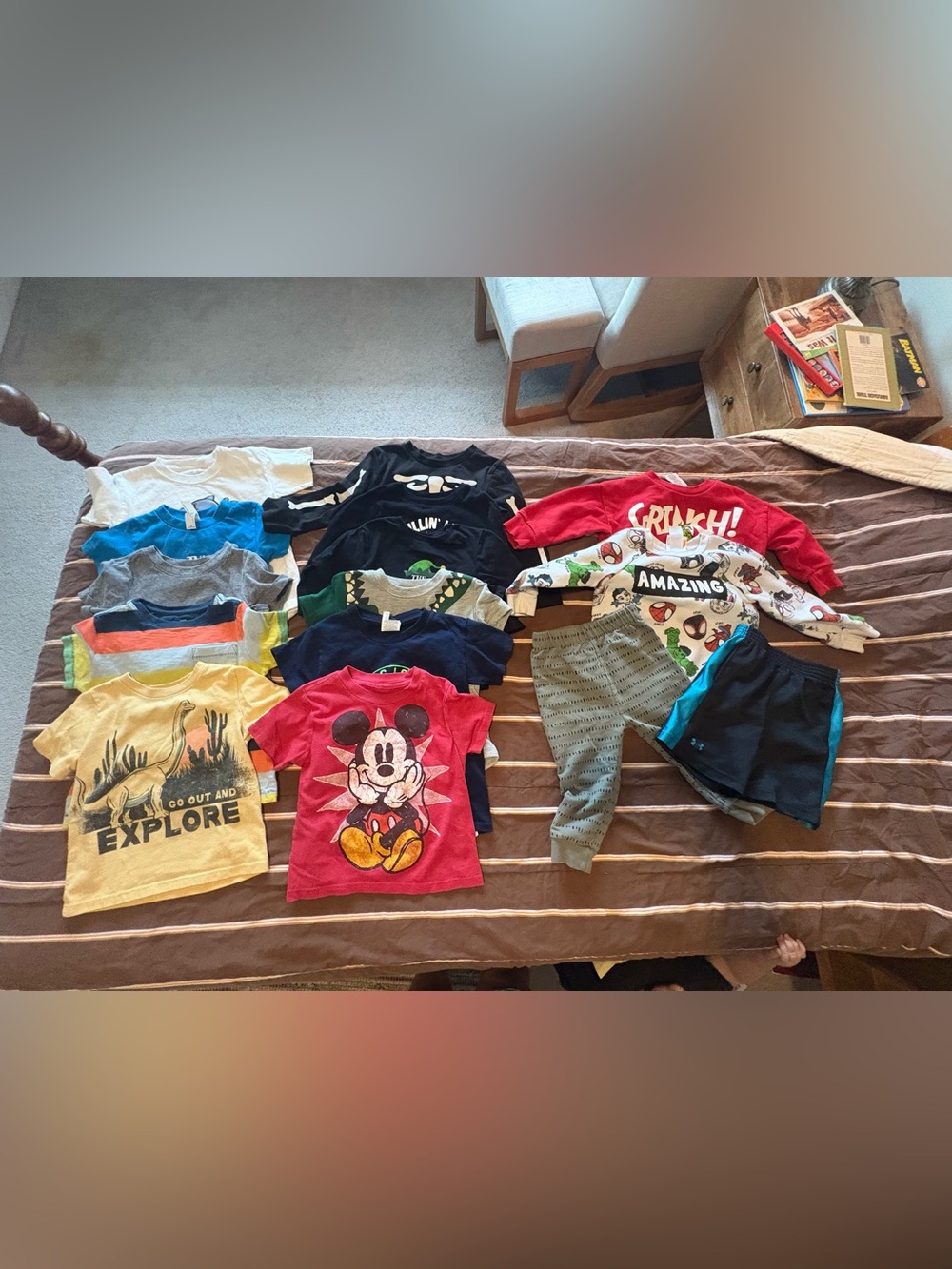 2T Boys Clothing Bundle: Shirts, Sweatshirts, Shorts, Pants